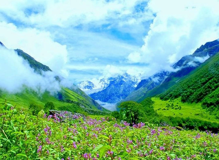 hemkund-and-the-valley-of-flowers